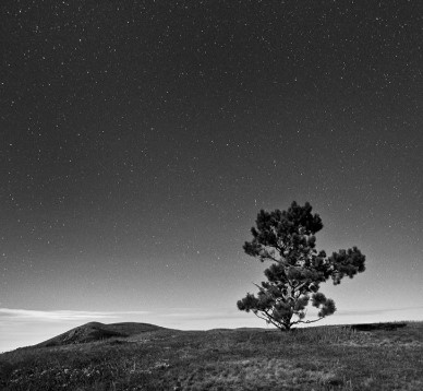 Exemple composition photo